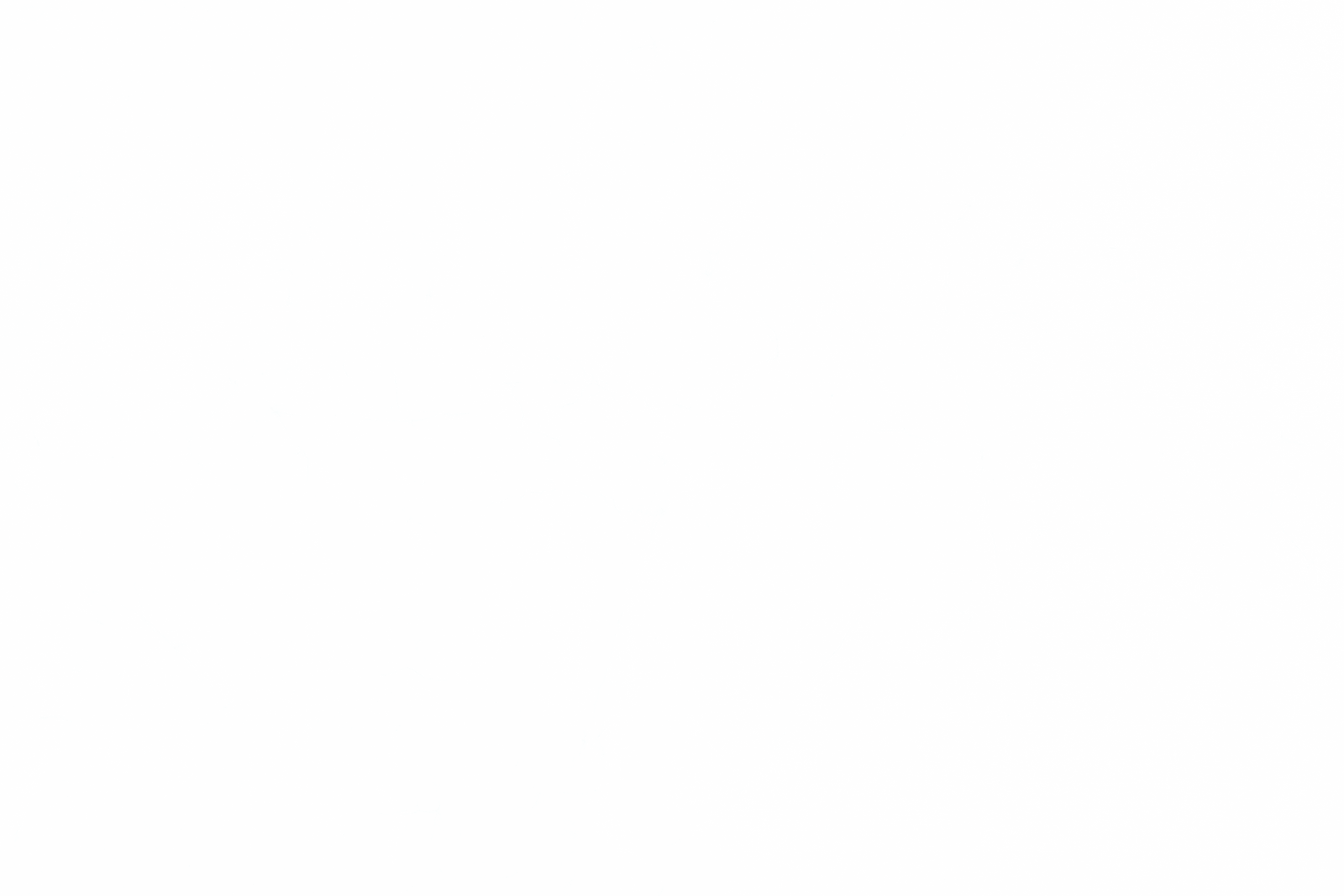 SRITE - CMO