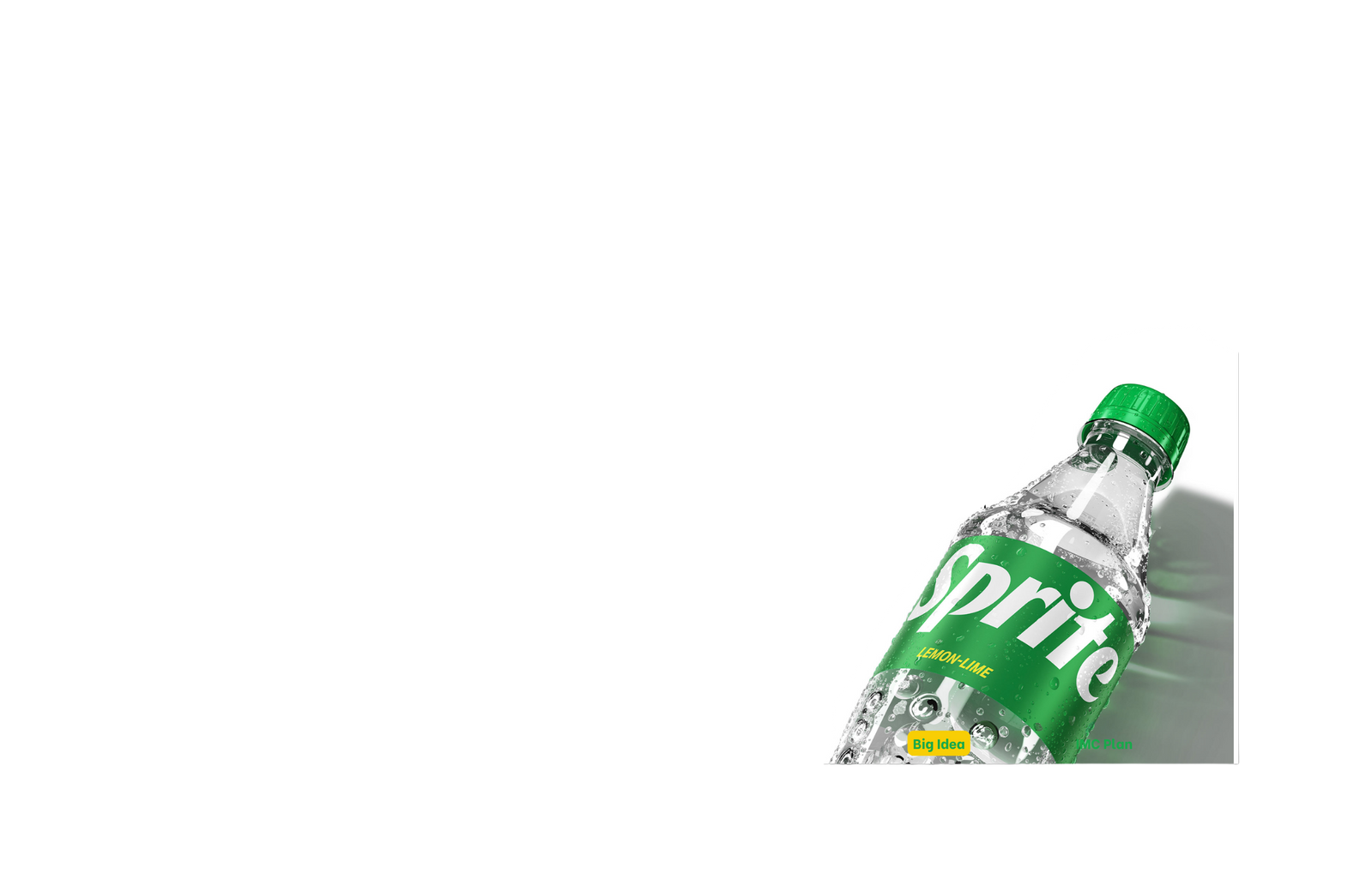 SRITE - CMO